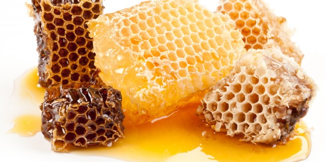 مصارف و کاربرد های عسل