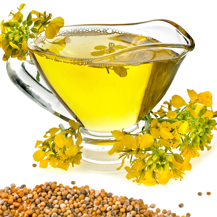 canola-oil-benefits-in-hindi